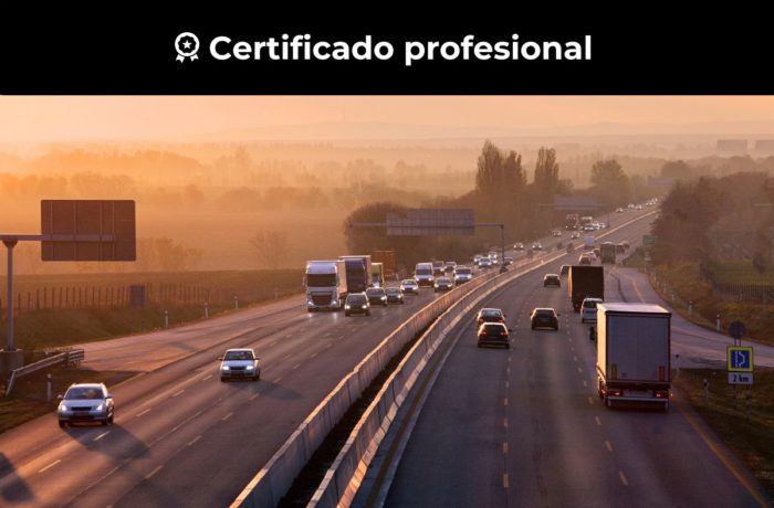 Organización do transporte e a distribución